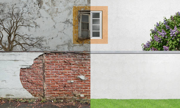 Best Mold Documentation for Insurance Claims  in Harper, TX